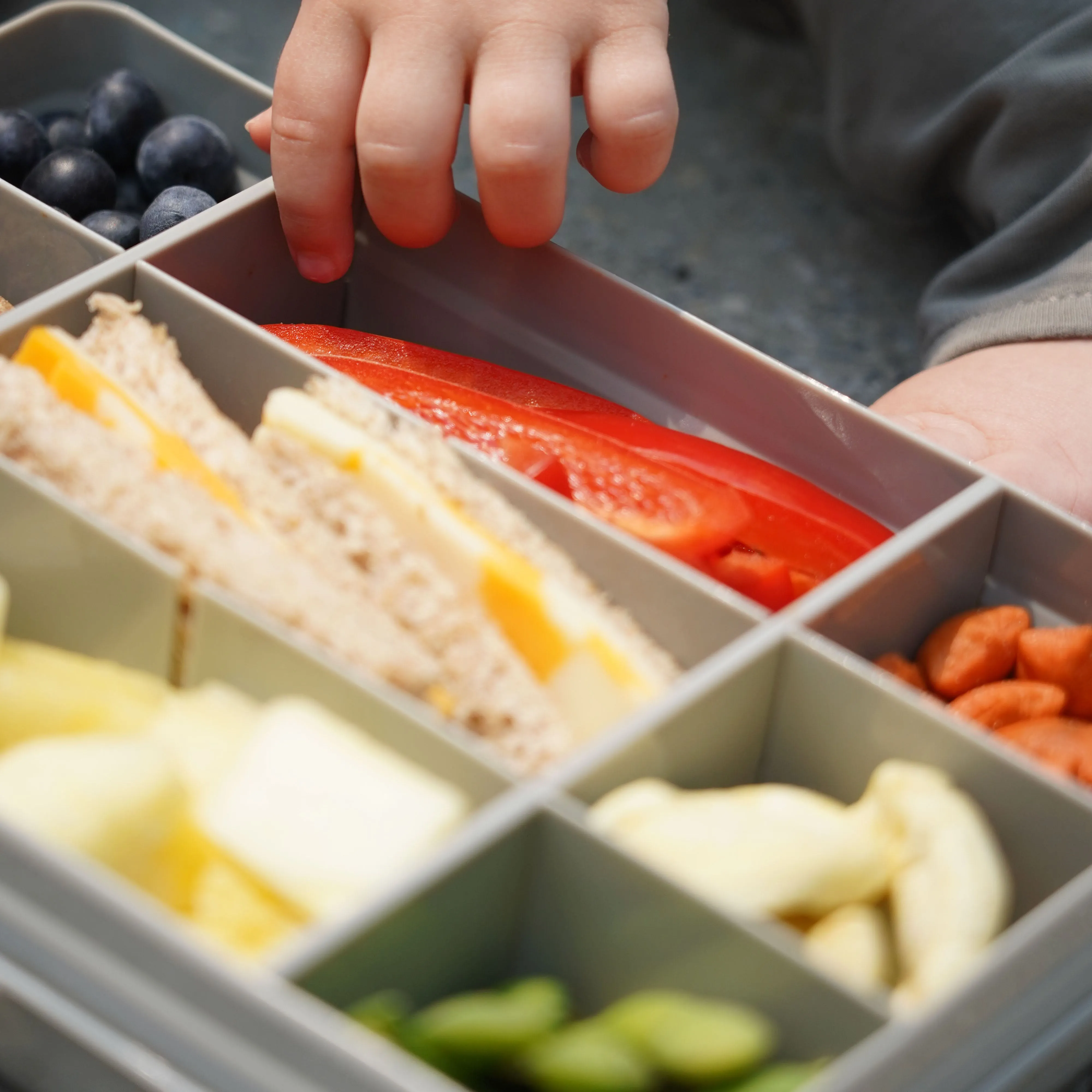 melii Snackle Box Grey - 12 Compartment Snack Container with Removable Dividers for Customizable Storage - Ideal for On the Go Snacking, BPA Free, Easy to Open and Clean