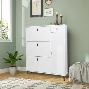 Shoe Storage Cabinet Slim with Door IF004